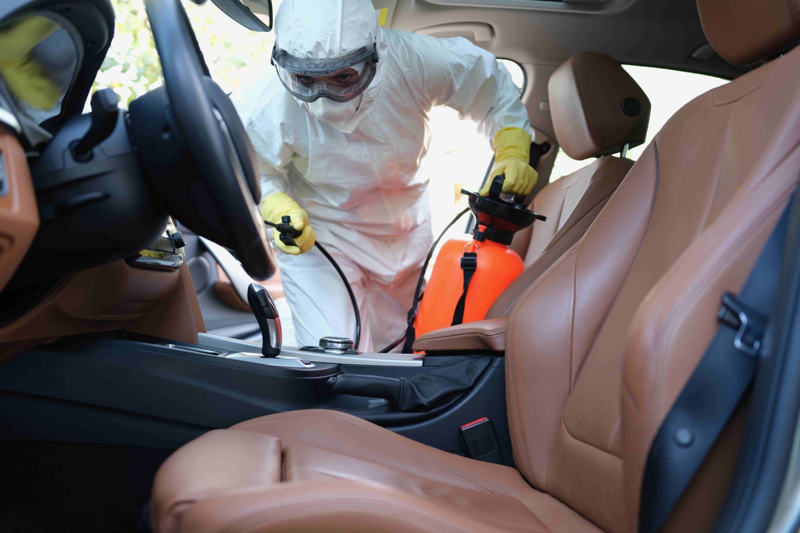 car bug
