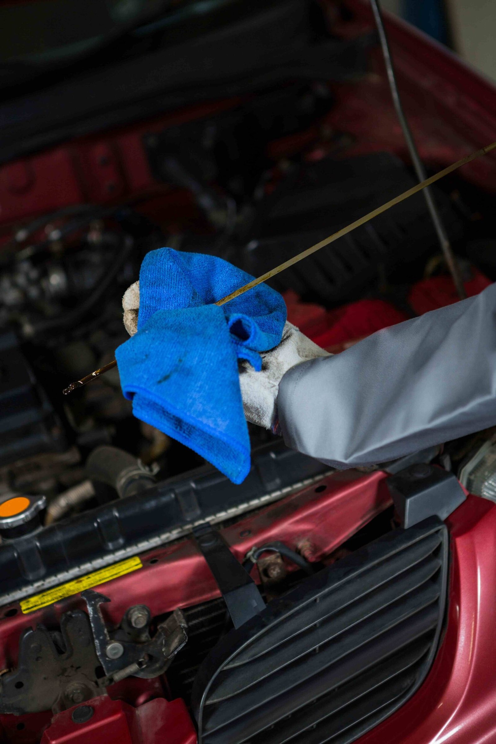 Car Engine Degreasing