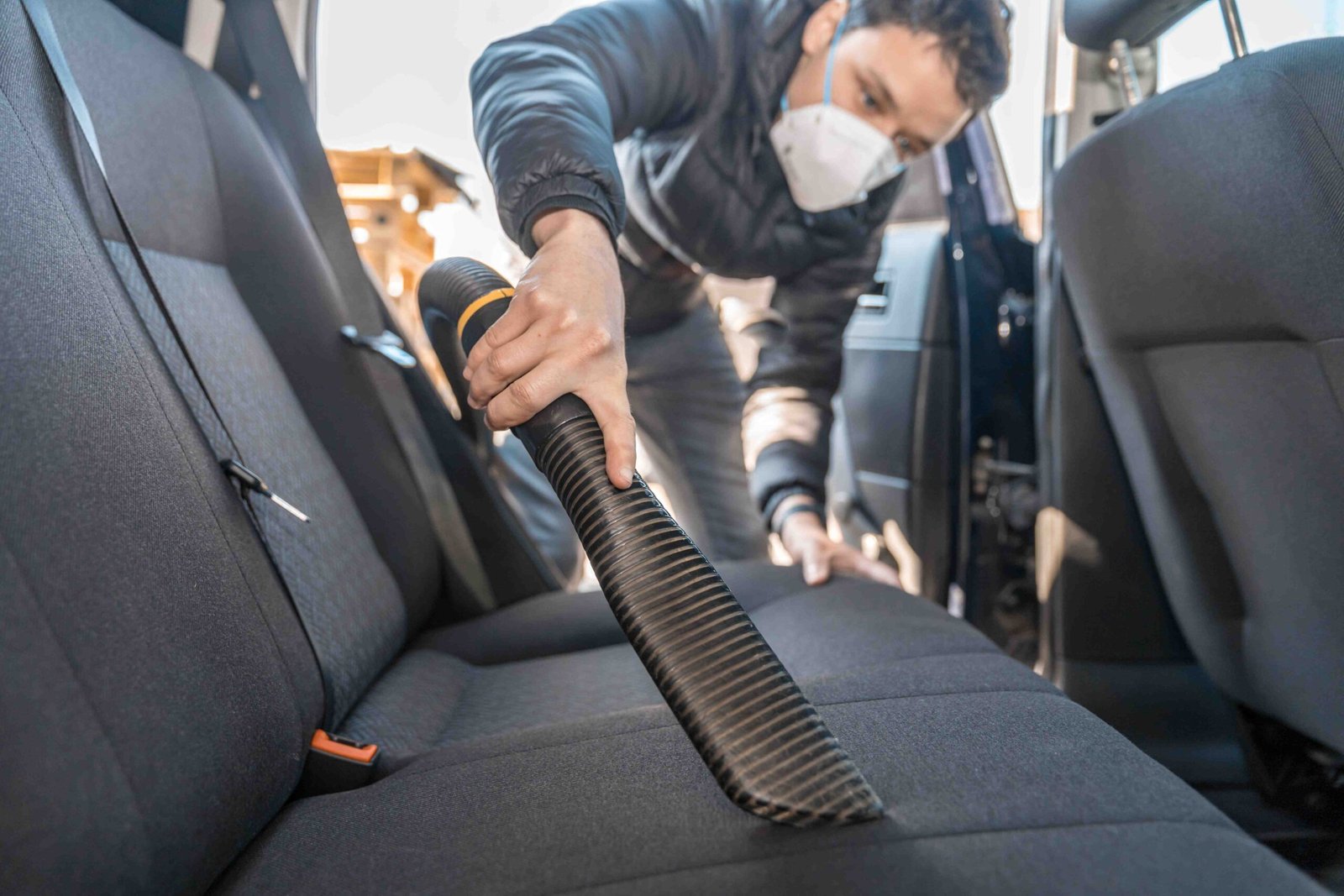 Car Mold Removal Service